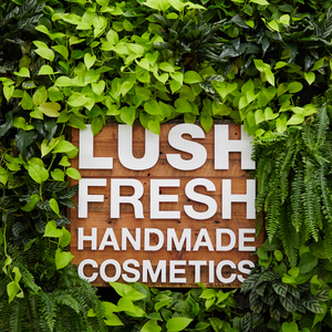 Lush Training - S&A